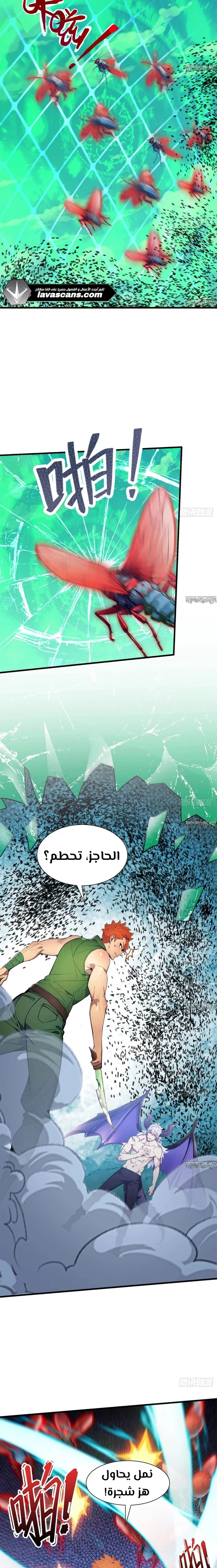 Chapter Image 5